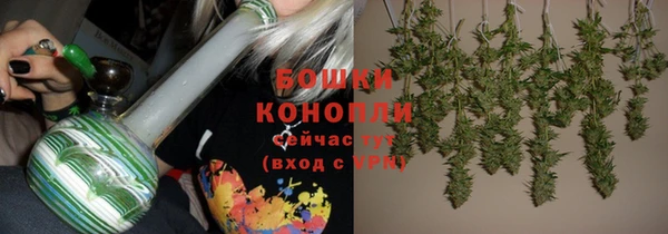 ECSTASY Вяземский