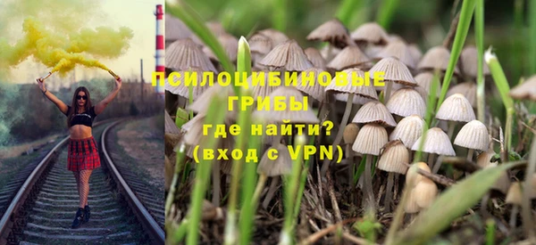 ECSTASY Вяземский